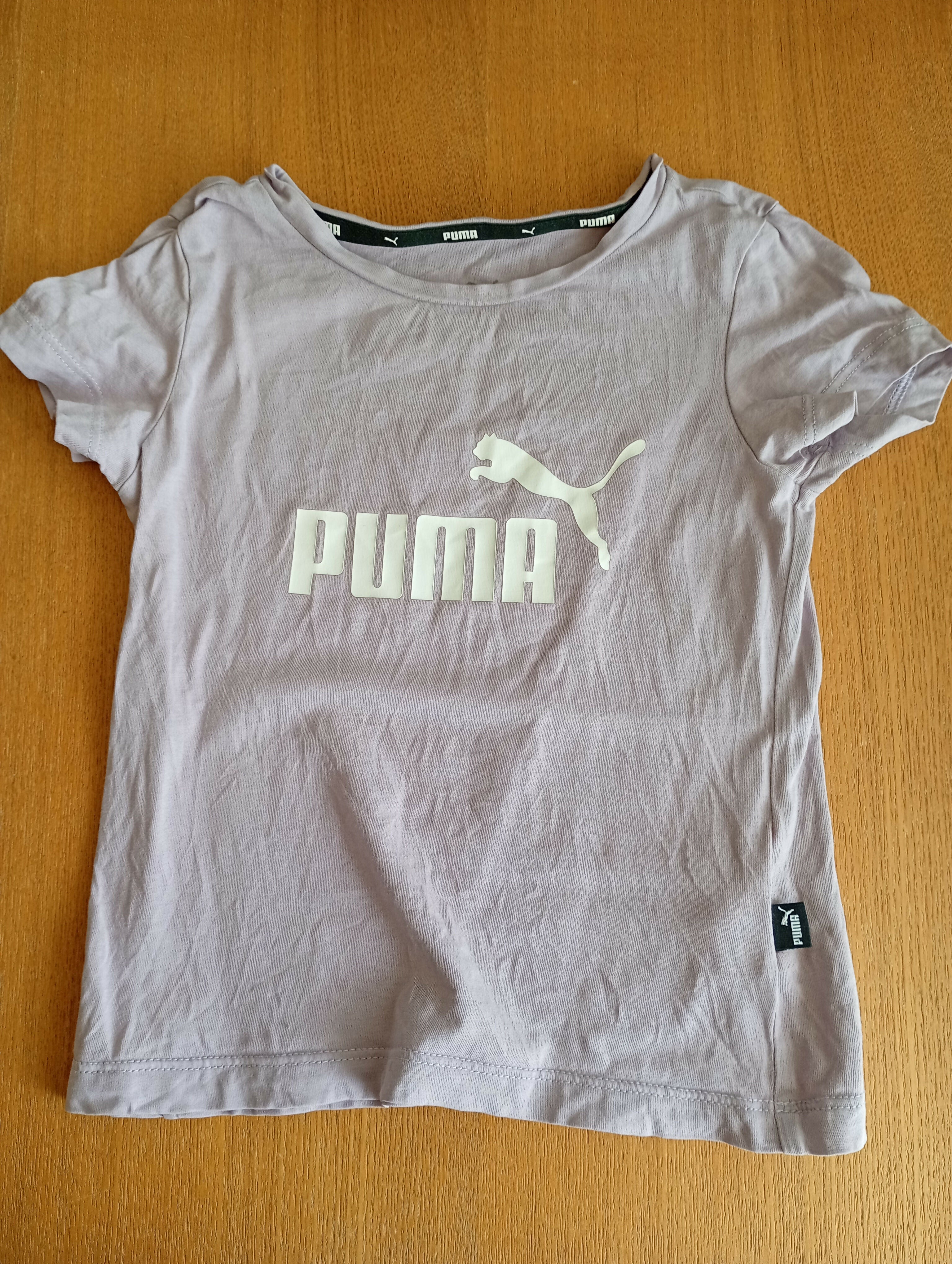 Puma 104